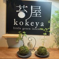 苔玉,楽しい時間,体験レッスン,那須苔屋の画像