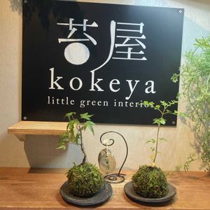苔玉,楽しい時間,体験レッスン,那須苔屋の画像