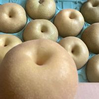 トマト,トマト,ナシ,ナシ,頂き物の画像