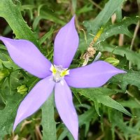 イトソマ,イトソマ,おでかけ先,季節の楽しみ♡の画像