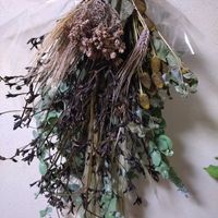アジサイ,アジサイ,パンパスグラス,ユーカリ,ムギの画像