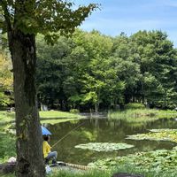 花のある暮らし,お散歩写真,平和を願う,いつも笑顔で〜〜♡,GS皆様ありがとうの画像