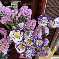 スターチス,トルコキキョウの画像