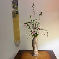 秋明菊,ノリウツギ,ツノマタタケ,野生のゴボウ,ワセビエの画像