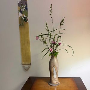 秋明菊,ノリウツギ,ツノマタタケ,野生のゴボウ,ワセビエの画像