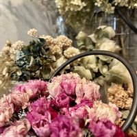 ドライフラワー,花のある暮らし,緑のある暮らしの画像