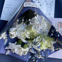 カーネーション,ガーベラ,ガーベラ,カスミソウ,トルコキキョウの画像