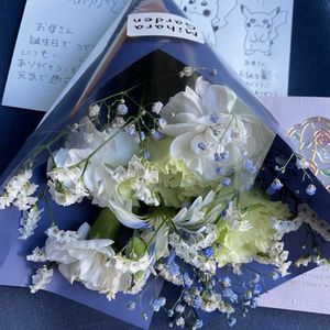 カーネーション,ガーベラ,ガーベラ,カスミソウ,トルコキキョウの画像
