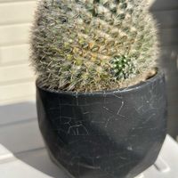 棚の画像