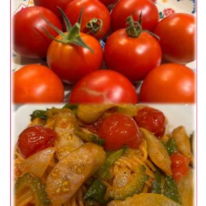 ミニトマト,癒し,赤い実,好きな花,夏野菜の画像