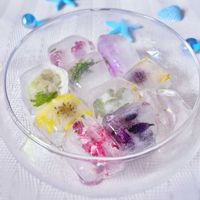 コムラサキ,サルスベリ,サルビア,ツルバキア,モミジの画像