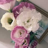 トルコキキョウ,花のある暮らし,おうち園芸の画像