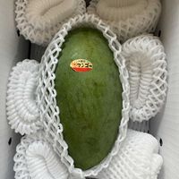 マンゴー,マンゴー,金煌(キンコウ)マンゴー,金煌(キンコウ)マンゴーの画像