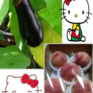 茄子,種からの栽培,桃,茄子の栽培,プラ鉢で栽培の画像