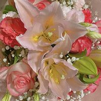 花束,ピンクのブーケ(花束)の画像
