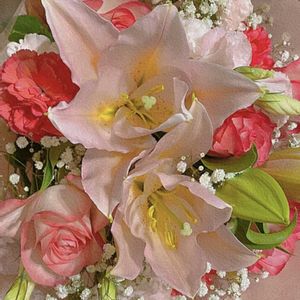 花束,ピンクのブーケ(花束)の画像