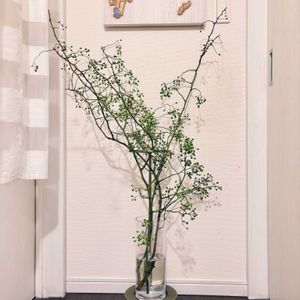 ノバラ,切り花,生花,枝もの,枝もの定期便の画像