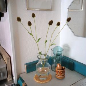 切り花,一輪挿し,花瓶,花束,花のある暮らしの画像