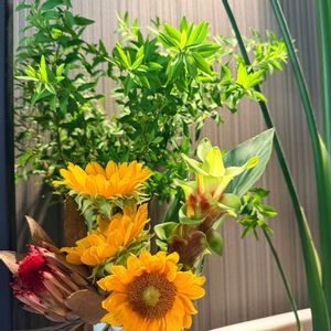 クルクマ,ヒマワリ,ゆきやなぎ,切り花,オージープランツの画像