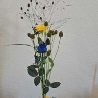 エキナセア,ヒペリカム,ワレモコウ,ワックスフラワー,パニカムの画像