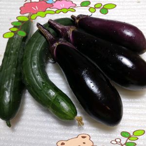 茄子,胡瓜,プランター栽培,庭からの恵み,茄子の栽培の画像
