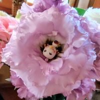トルコキキョウ,切り花,大好き,お気に入り♡,かわいい♡の画像