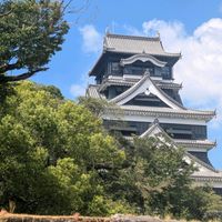 イチョウ,イチョウ,何かの木,熊本城の石垣,いつもありがとう♡の画像