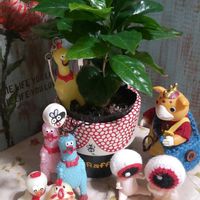 オベサ,コーヒーの木,地震,ブースカ,繋がりに感謝✨の画像