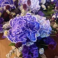カーネーション,涼しげ,素敵な出会いに感謝,胸キュン,ビューティフル サンデーの画像