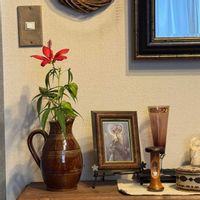 モミジアオイ（紅葉葵）,花言葉,花のある暮らし,誕生花,GS映えの画像