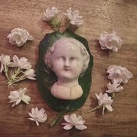 マツリカ,ジャスミン,ジャスミン,アラビアン　ジャスミン,アラビアン　ジャスミンの画像
