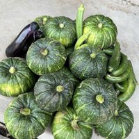 オクラ,キュウリ,茄子,坊ちゃんカボチャ,自家製野菜の画像