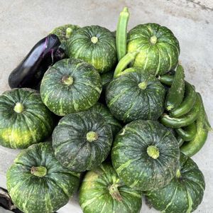 オクラ,キュウリ,茄子,坊ちゃんカボチャ,自家製野菜の画像