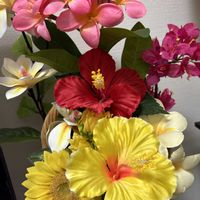 ポトス,モンステラ,助け合い,優しさ..　思いやり..♡,被災地の復旧..復興..を願いますの画像