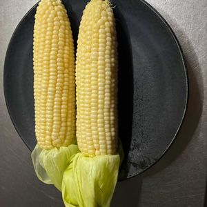 畑の野菜。,畑の野菜。,スイカの畑,アイスクリームコーン,小玉スイカ(マダーボール)の画像