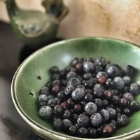 ブルーベリー,フランス食器,家庭菜園,庭の画像