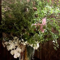 胡蝶蘭,スモーク・ツリー,ホテルロビーの装花,上高地　五千尺ホテルの画像