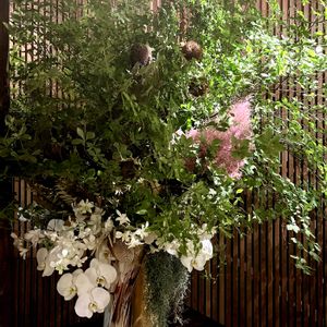 胡蝶蘭,スモーク・ツリー,ホテルロビーの装花,上高地　五千尺ホテルの画像