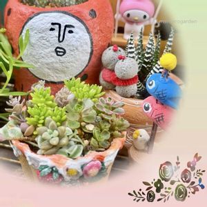 十二の巻,寄せ植え,セダム属,癒される,錦の日の画像