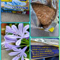 アガパンサス,花のある暮らし,植物好き,自然の不思議,グリーンアイス（愛す）倶楽部の画像