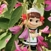 シュウメイギク,ハギ,ハギ,ハギ,ポーチュラカの画像