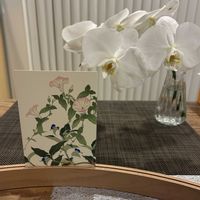 切り花を楽しむ,季節の花の絵,切花にした胡蝶蘭の画像
