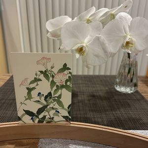 切り花を楽しむ,季節の花の絵,切花にした胡蝶蘭の画像