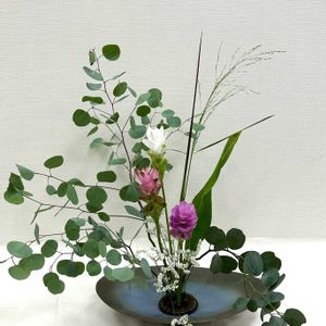 パニカム,ユーカリポポラス,クルクマジンジャー,スターチス カスピア,生け花の画像