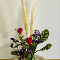 ケイトウ,スターチス,トルコキキョウ,パンパスグラス,クジャクヤシの画像