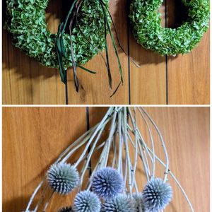 ルリタマアザミ,アナベル,アナベル,紫陽花 アナベル,ドライフラワーの画像