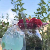 ケイトウ,フラワーアレンジメント,❥植物❥空模様❥コラボ❥,青空と植物❤︎,雲仲間の画像