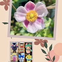 秋明菊,シュウメイギク・セプテンバーチャーム,母の楽しみ,みんなが幸せに〜〜♡,心癒されての画像