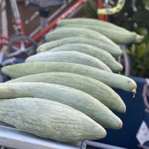 宿儺南瓜(すくなかぼちゃ),花のある暮らし,緑のある暮らし,小さな幸せ♡,ナチュラルスタイルの画像