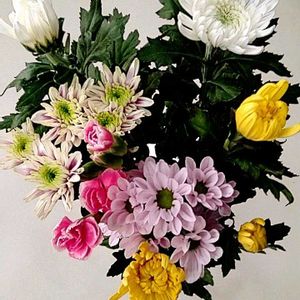 カーネーション,キク,スプレーマム,仏壇の供花,横浜の家の画像